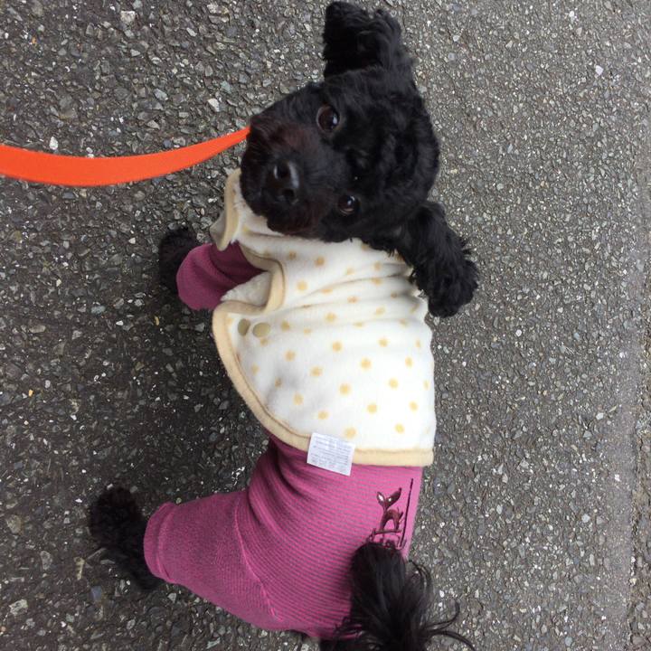 06f56d1b 4c45 4297 889b 5b24a477e2cd