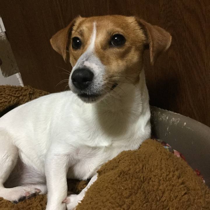 06f594a6 3104 406d a6a7 5dbc77333528