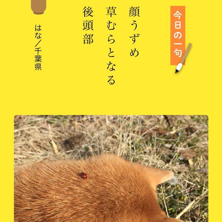 06f5ca14 72dd 46e8 87d8 44bea9fd43f1