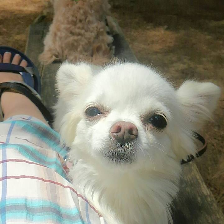 06f5fb86 72d8 40c2 a3ae 1c6083f60d90