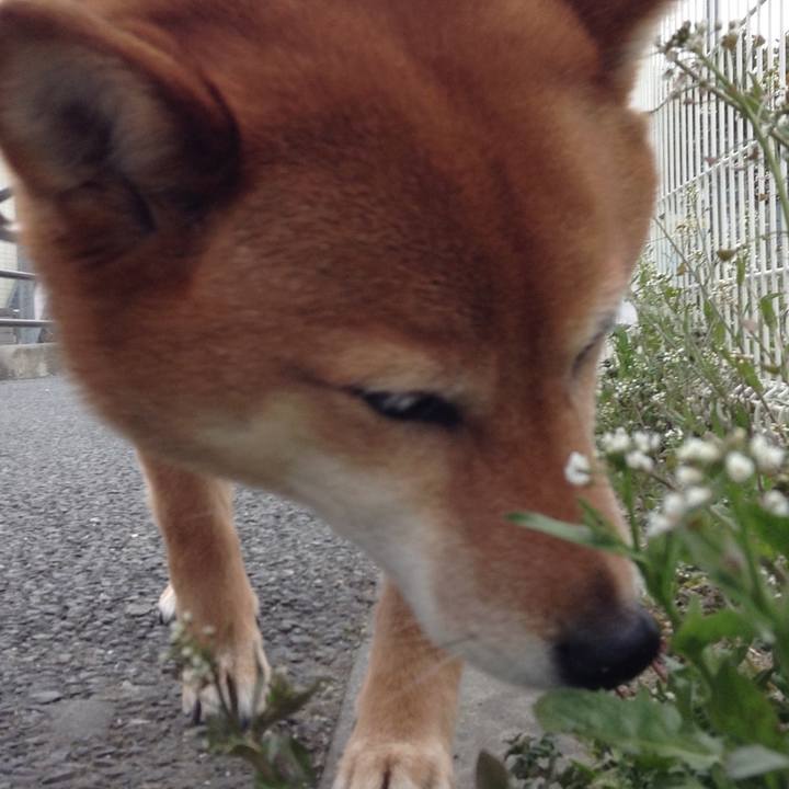 06f647cd bd3a 449f a1cf 0a855bdce693