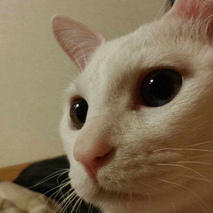 06f660ad a7f6 4239 8368 a67e6402a9c0