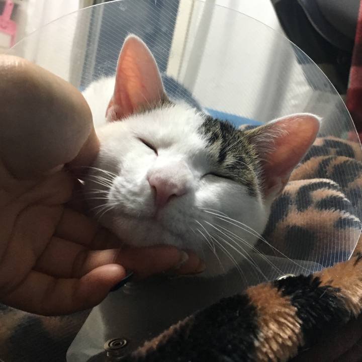 06f66899 0c50 4ce1 9463 da7054312b1b