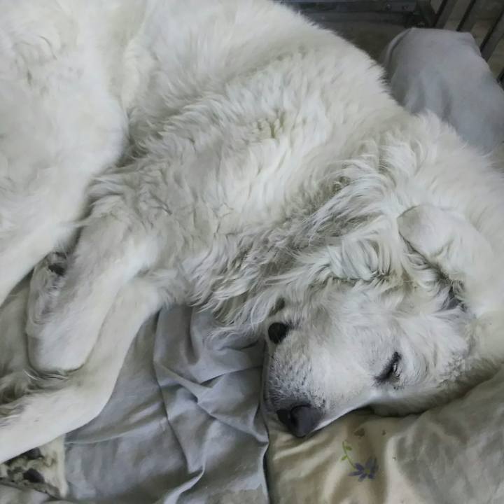 06f672d9 d8e4 4b20 8519 c4836f01a92c