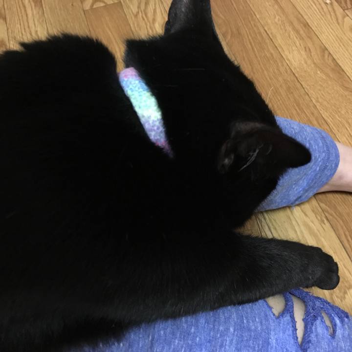 06f6f96d 09e3 4f87 8a81 aa38f0299bf5