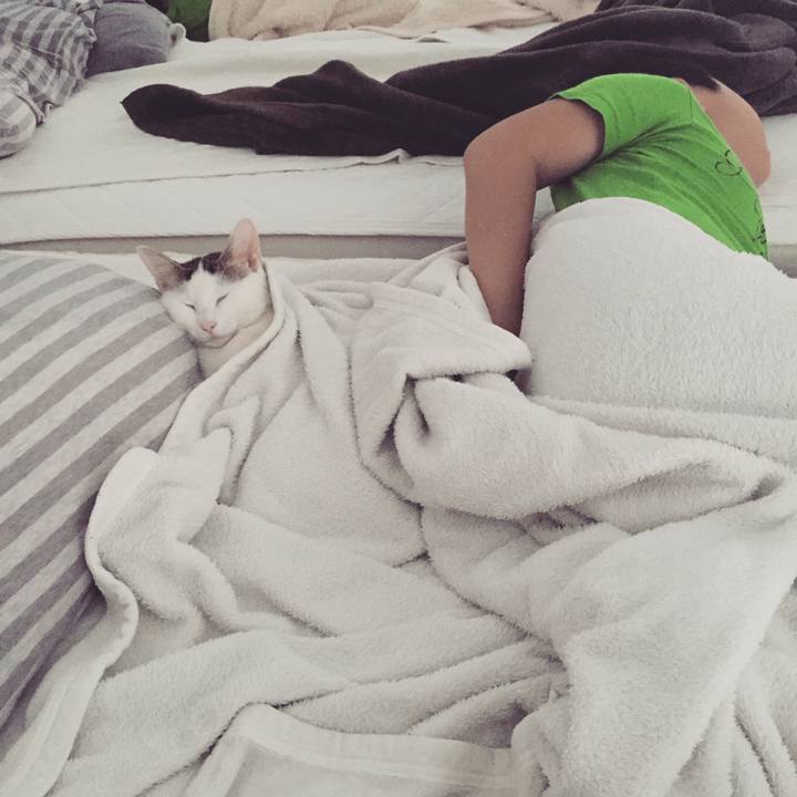 06f743d9 2259 4fcd 860d 7ce9258d273e