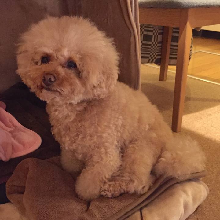 06f7e4e4 e607 4d2d 9695 f6e123384af6