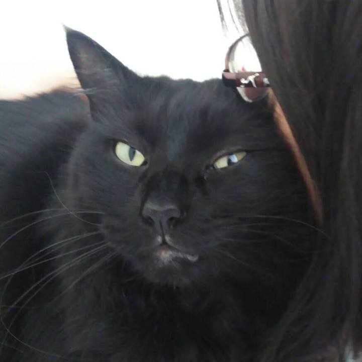 06f9177c 0a93 455c 8885 c1c4004374cb