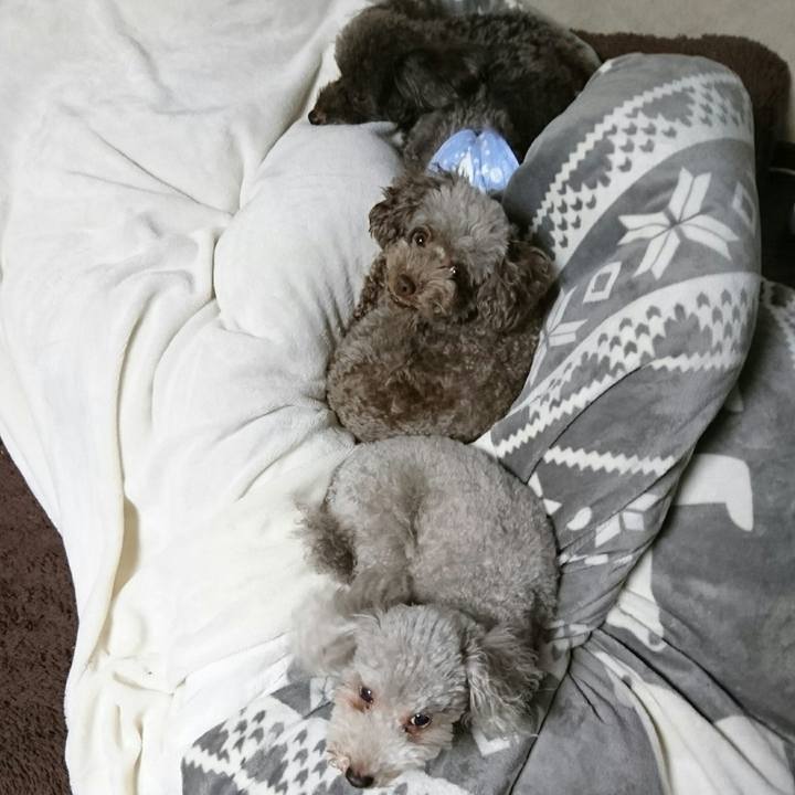 06f9a3bc 5869 4fa9 b211 c8fad16bb594