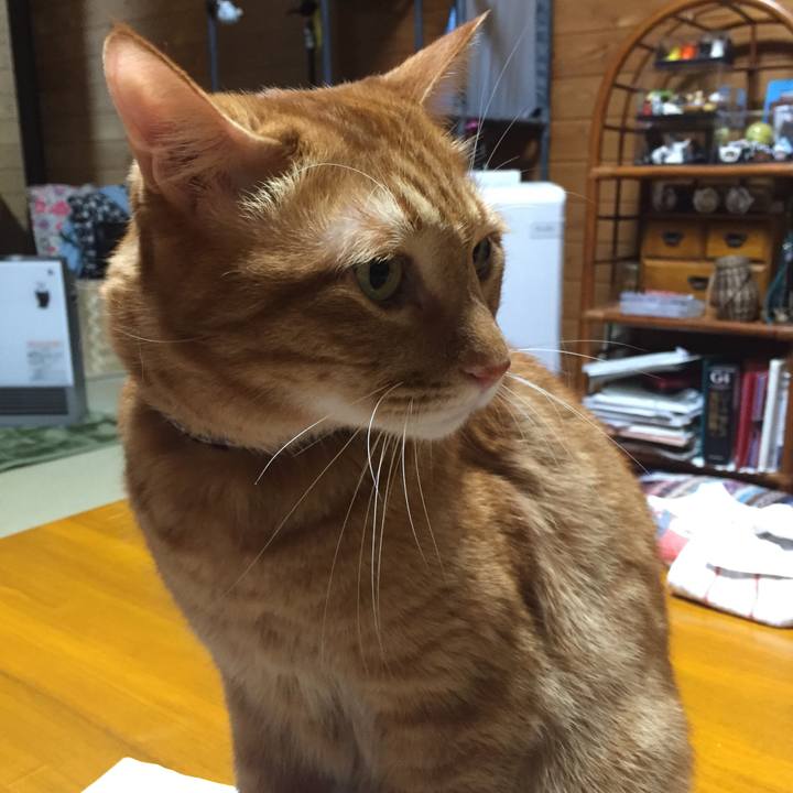 06f9c65f 8349 4ff4 8d6b 6b0115a2f740