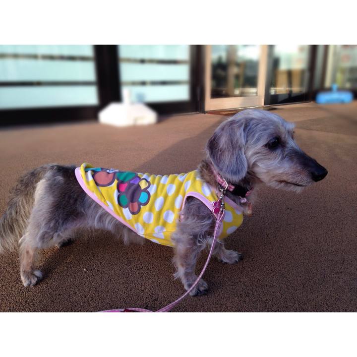 06fa53e2 9144 4aab bc73 0039d7944b92