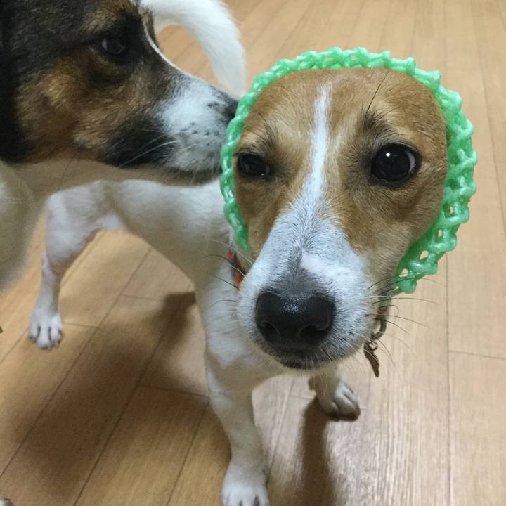 06fa9072 243f 4e0d a93e 9e7a1a4a6c73