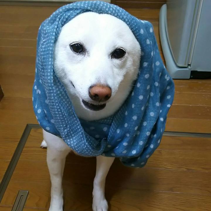 06fb3d4d 593f 4ec6 8514 e64a59b8965c