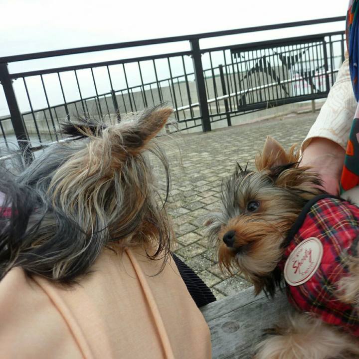 06fc0efd 244b 4295 bcc3 0c65a269830d