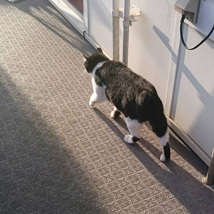 06fc54f5 d9fc 432e 9aa5 896f01abe947