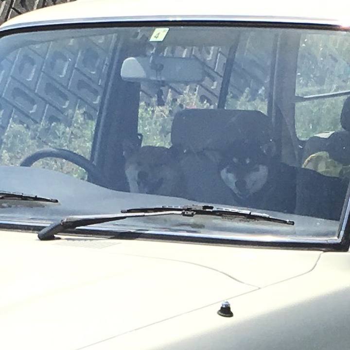 06fc77dd 0356 4cce b0a6 4e1aa2389674