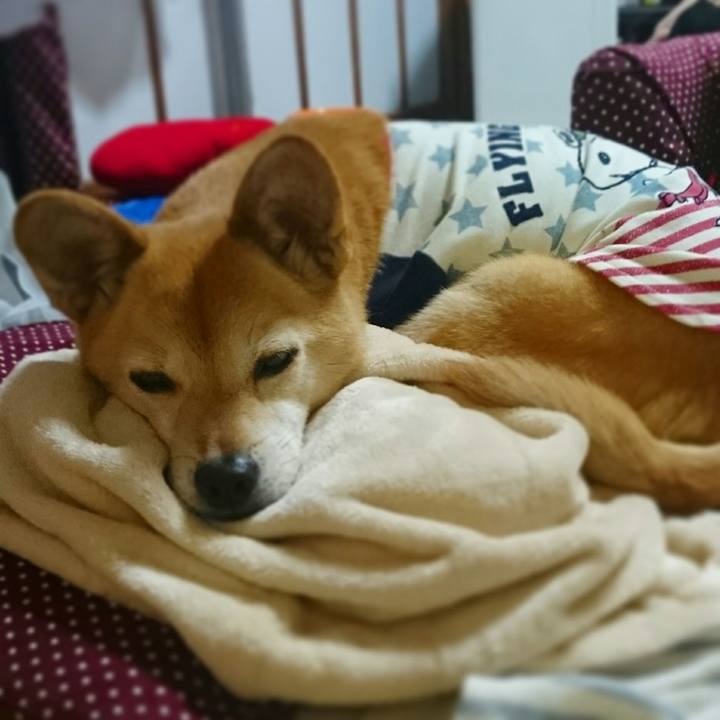 06fc9734 11d4 45ee 985f 28762c582cd5