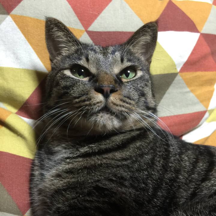 06fd0aa7 5e33 45a9 9181 90a9cc3cdd2e