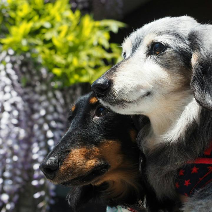 06fde222 116b 4708 90ca 67a4f06ca3f7