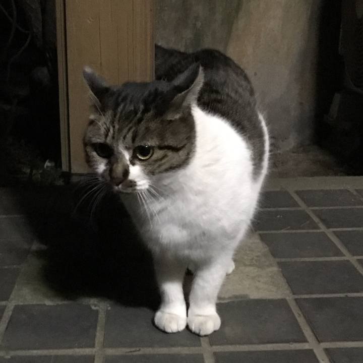 06ff0238 be13 44c0 8811 dfc06474a1c3