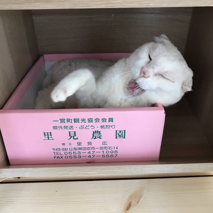 06ff767e 9cbd 4a28 859e 9a870da172f0