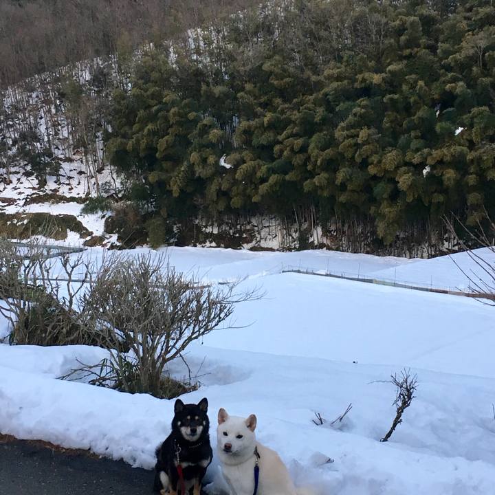 06ffaf47 b362 4d89 bbb7 57aa5a624df0