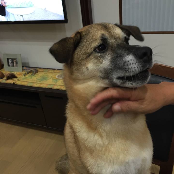 06ffd9ce cce4 4837 84a3 4289a7d6a486