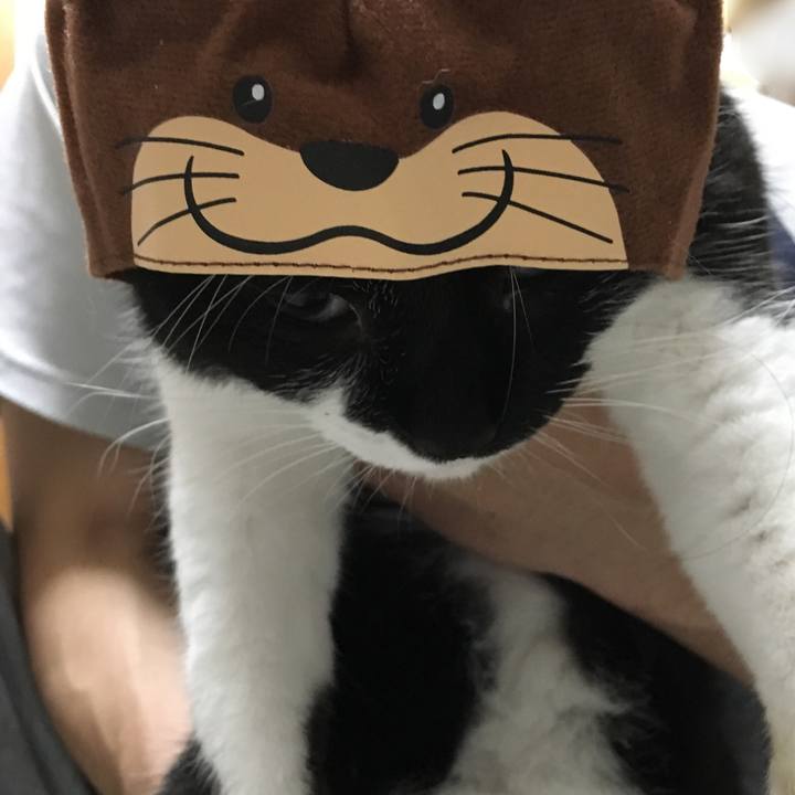 06ffe382 e7df 454e 9c76 06d1391460db