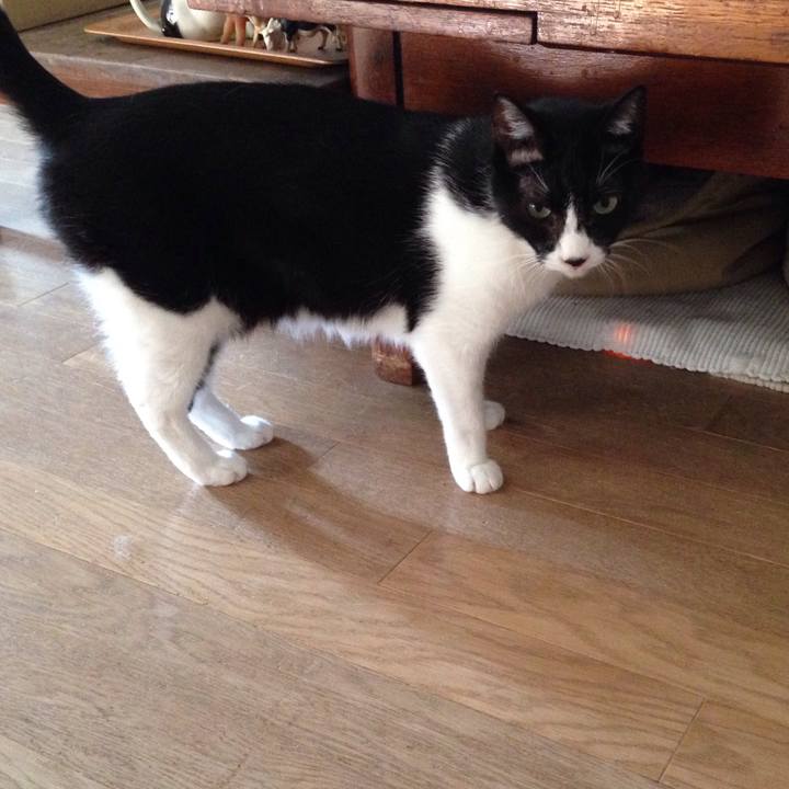 070060d4 fba5 4b35 9b11 cd6155acca4a