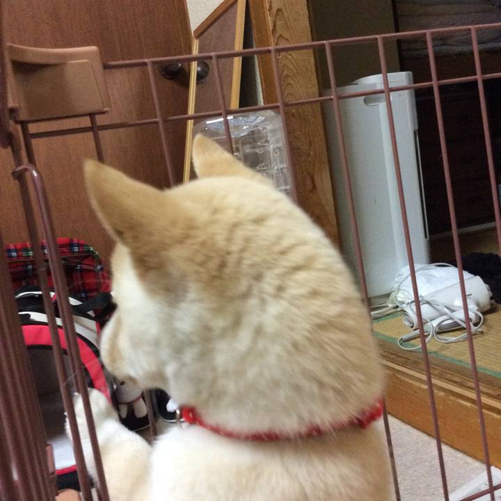 07007b91 2c0a 432e b570 627ace6ba2dc