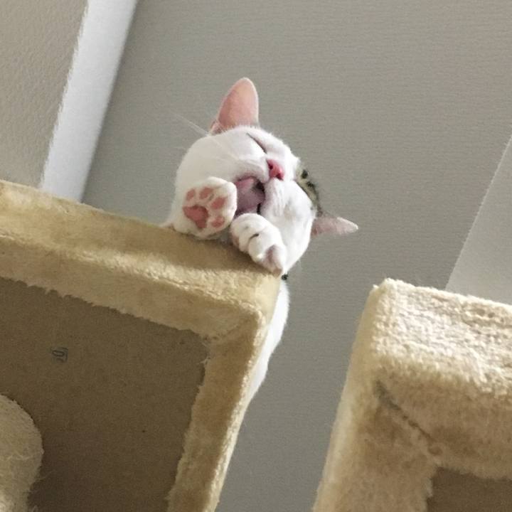 07007cae 8ea0 4ce2 844d 8451dbc4e8d3