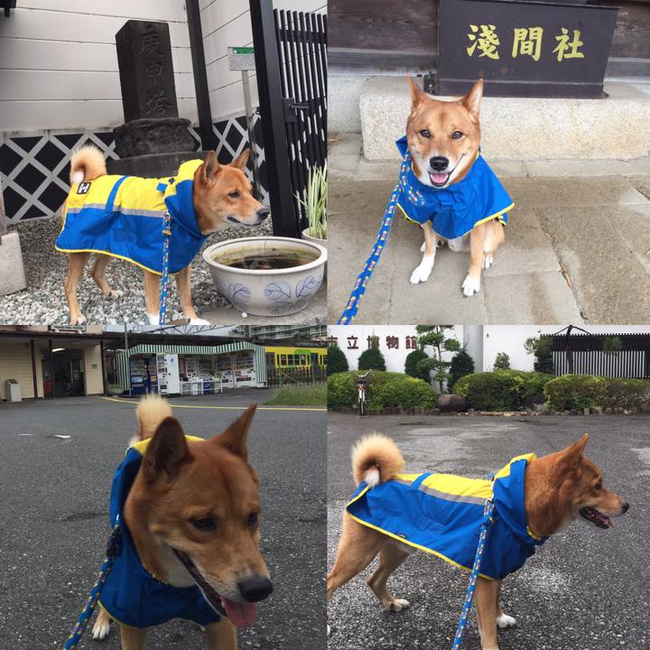 07013cdf 249b 45ee b6fc ccc2cb3f4801