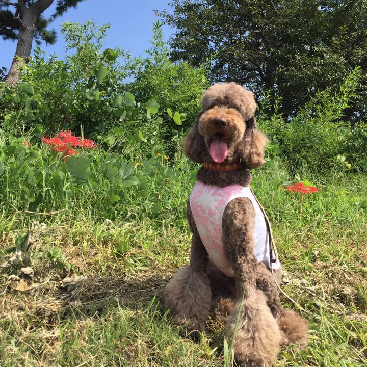 0701de72 5138 4e32 b69a 0cda9005306b