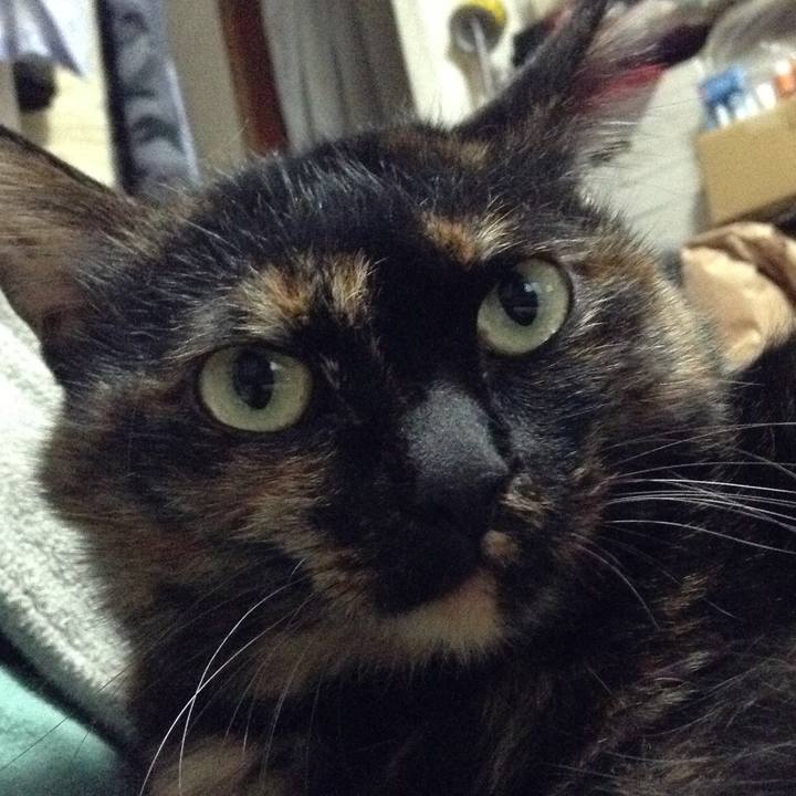 0701f1d4 a820 4305 a086 91bec2c34766