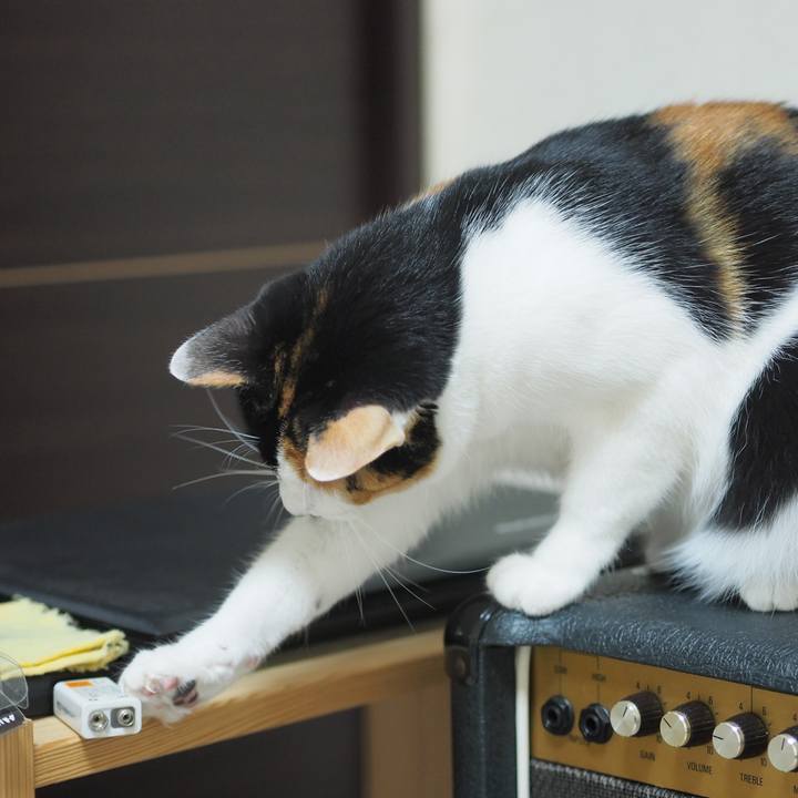 0702849f 0179 46d9 b146 305932baac99