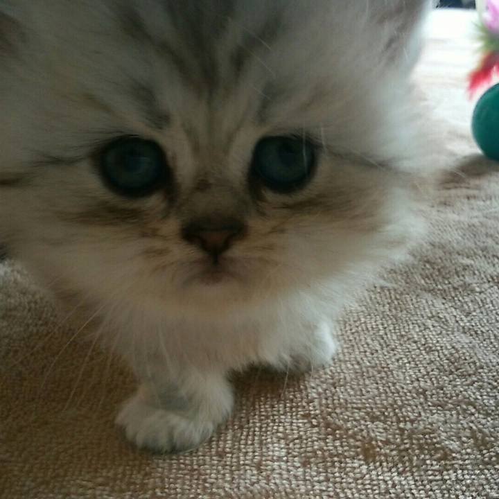 070290c8 a9e0 49c3 931a 4042f6eb9823