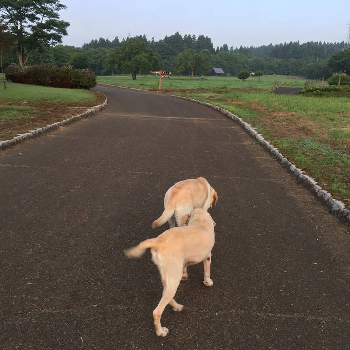 0702af8c 9b94 4e4c 89c0 d7086b77e6bb