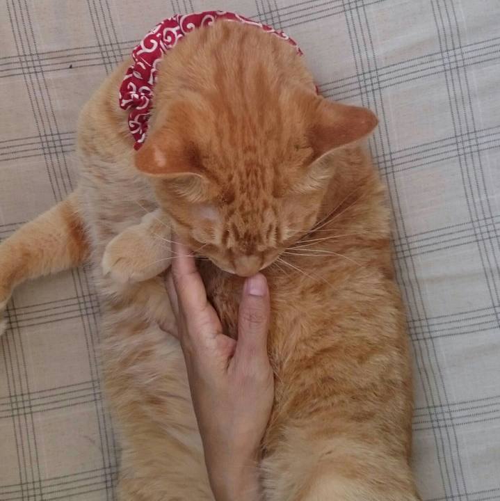 070447a3 ae98 4e97 bb7d ba89703162c2