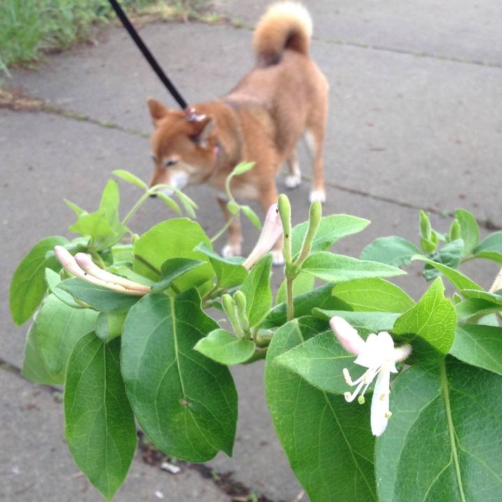 07046f22 0c15 45f7 a4c9 2813ceefe926