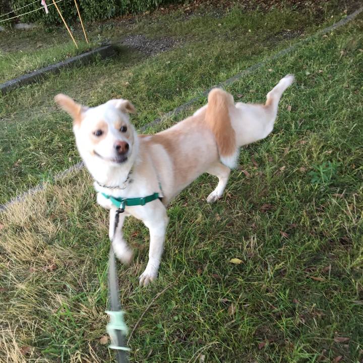 07047af9 bb3c 45df 93da e51625d5a249