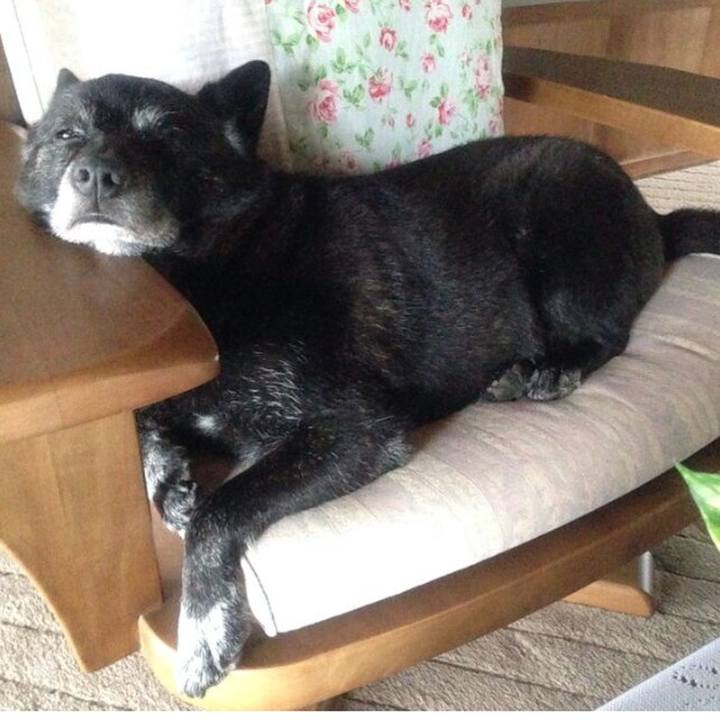 07048d49 8b32 4528 ae29 290d8dc8f1a6