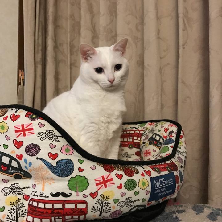 0704d9c3 b367 4e59 ad4c b828b902482c