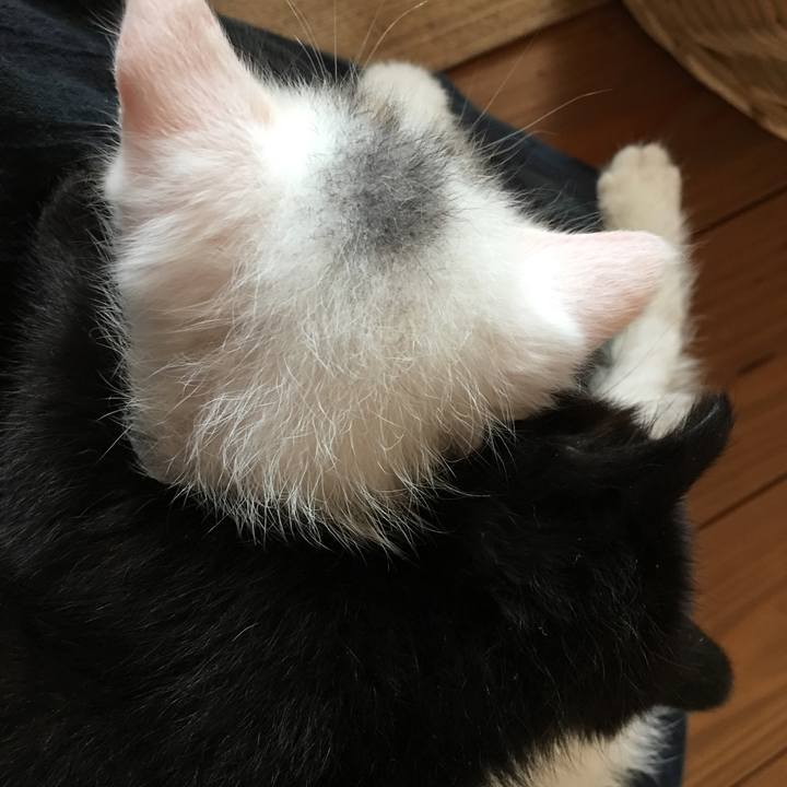 07059952 208f 4443 8058 512c1b3ec81e