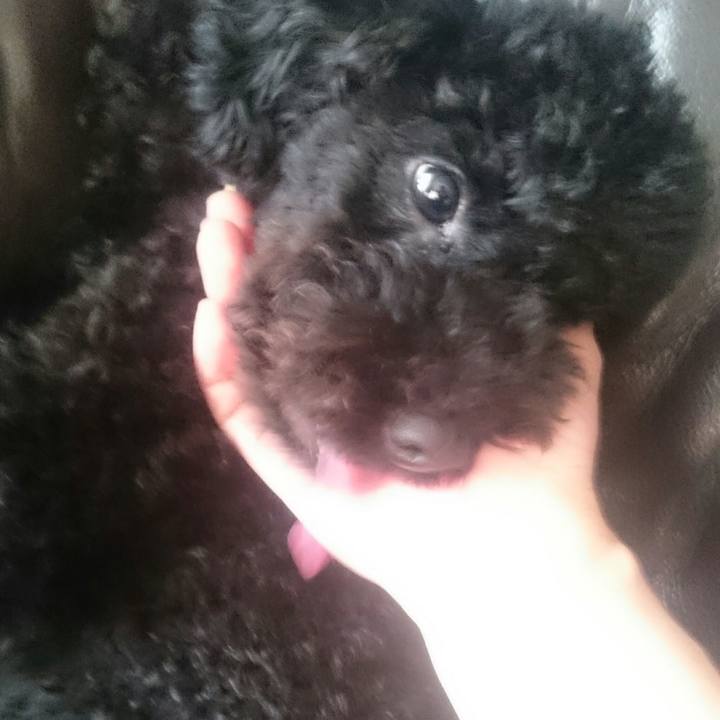 0705b82c 9ddf 4ebe 9a4a a6beb9acd92c