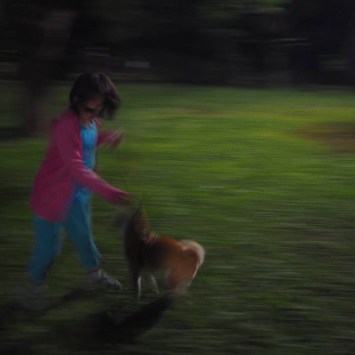 0706332b 9413 4353 87ce 6edaca88bd54