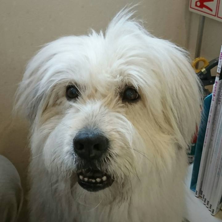 0706e120 59fb 4b1c a5b4 55516375846e