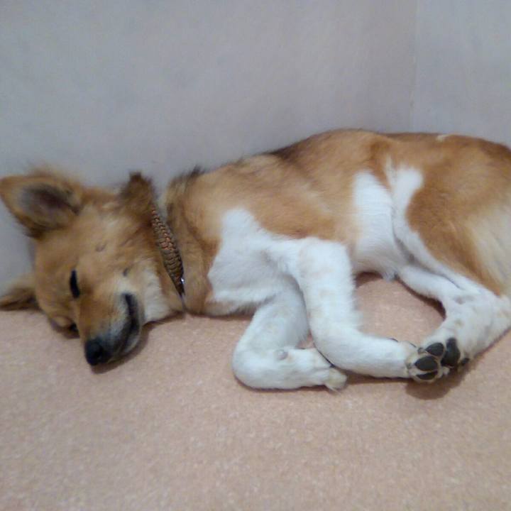 07077564 d344 4ffc 920c 844592a5defc