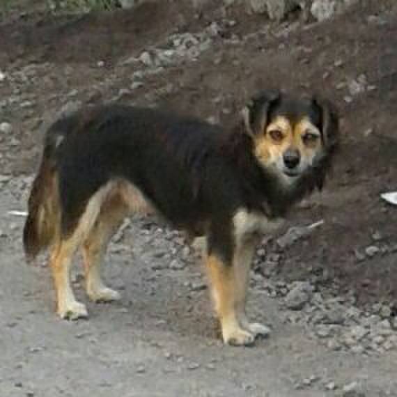 07078072 c943 4611 ba0d dbb0215dc66d