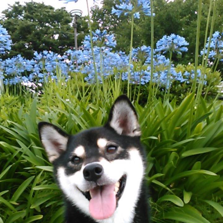 0707a5cc 0f2a 4736 8204 a6336fae8266