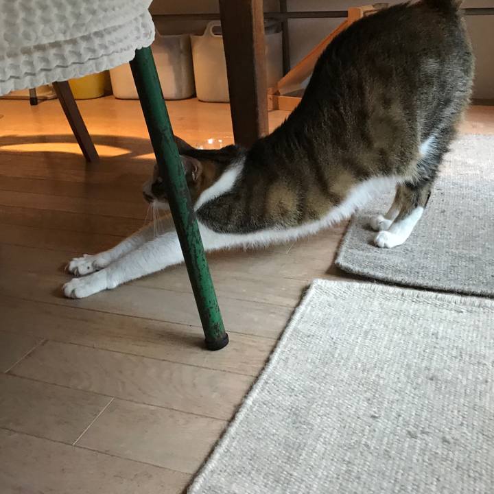 0707c188 60c2 429a be14 ad5d95db6c08